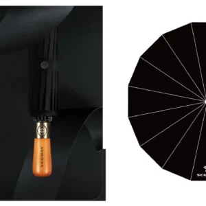 Segway Umbrella