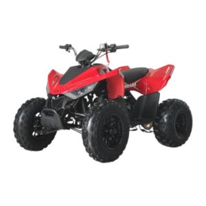Linhai 110 – Kraftig og trygg barne ATV